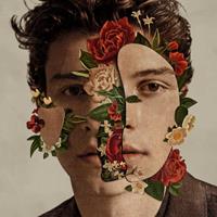 Island Shawn Mendes - Shawn Mendes