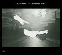 ECM Northern Song - Steve Tibbetts
