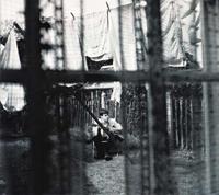 Universal Chaos And Creation In The Backyard - Paul Mccartney