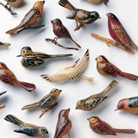 Joyful Noise Omoiyari - Kishi Bashi