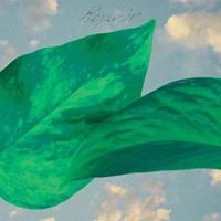 International Anthem Recording C Resavoir - Resavoir