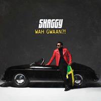 Virgin Music Wah Gwaan?! - Shaggy