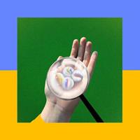 Sub Pop Close It Quietly - Frankie Cosmos