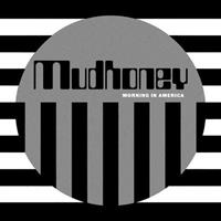 Sub Pop Morning In America - Mudhoney