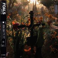 Wea Everything Not Saved Will Be Lost - Part 2 .Part Ii - Foals