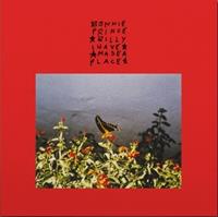 Domino I Made A Place - Bonnie Prince Billy