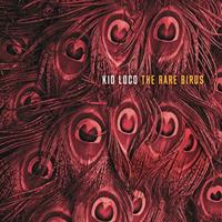 Bang Rare Birds - Kid Loco