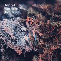 Morr Music Sylva - Benoit Pioulard