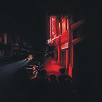 Anti The Neon Skyline -Hq/Gatefold- - Andy Shauf
