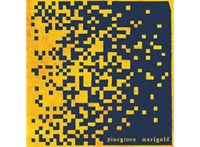 Rough Trade Marigold - Pinegrove