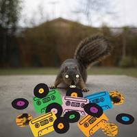 Rhymesayers Entertainment Squirrel Tape Instrumentals Vol.1 - Evidence