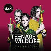 Echo Blues Teenage Wildlife - 25 Years Of Ash - Ash