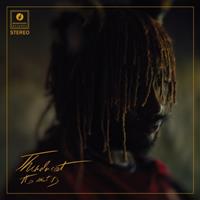 Ninja Tune It Is What It Is - Thundercat