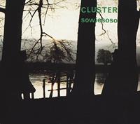Bureau B Sowiesoso - Cluster