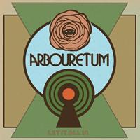 Thrill Jockey Let It All In - Arbouretum
