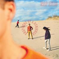Jagjaguwar Snapshot Of A Beginner - Nap Eyes