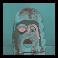 Trouble In Mind Void Moments - Facs