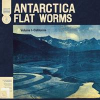 God? Antarctica - Flat Worms