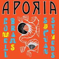 Asthmatic Kitty Aporia - Sufjan Stevens & Lowell Brams