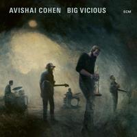 ECM Avishai Cohen Big Vicious - Avishai Cohen
