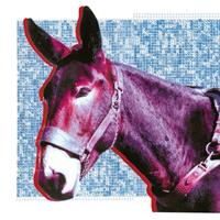 Domino Ultimate Success Today - Protomartyr