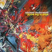 Continental Song City What In The World... - Michael Mcdermott