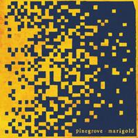Rough Trade Marigold - Pinegrove