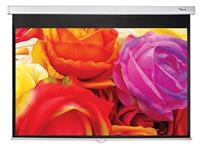 Optoma DS-1123PMG+ Manuelle Pull Down Leinwand für Wand-/Deckenmontage, 16:10, (123") 312 cm