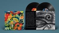 4ad Songs And Instrumentals - Adrianne Lenker