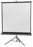 celexon Stativ Economy Stativleinwand 133 x 133cm Bildformat: 1:1