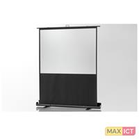 Celexon Ultramobil Plus Professional 1090367 Rollenkoffer Leinwand 174 x 98cm Bildformat: 16:9