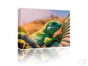 Sound Art Canvas + Bluetooth Speaker Lizard In Desert