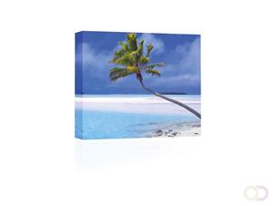 Sound Art Canvas + Bluetooth Speaker Palm Tree On White Beach