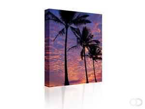 Sound Art Canvas + Bluetooth Speaker Palm Trees At Sunset