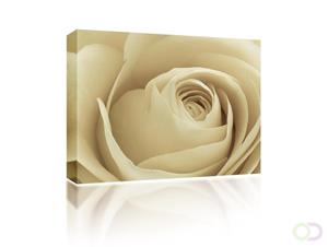 Sound Art Canvas + Bluetooth Speaker Cream Rose