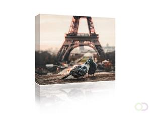 Sound Art Canvas + Bluetooth Speaker Pigeons And Eiffel Tower