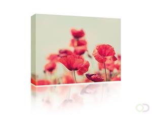 Sound Art Canvas + Bluetooth Speaker Poppies