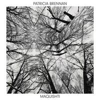Valley Of Search Maquishti - Patricia Brennan