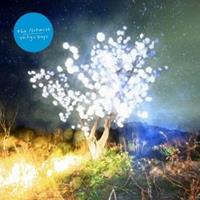 Morr Music Vertigo Days - The Notwist