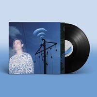 Domino Banane Bleue - Francois & The Atlas Mountains
