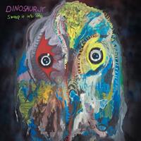 Jagjaguwar Sweep It Into Space - Dinosaur Jr.