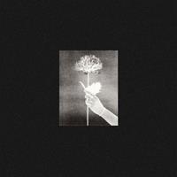 Tough Love Day By Day - White Flowers