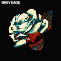 Concord Records Amends - Grey Daze