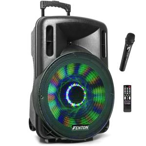 Fenton FT15LED karaoke speaker 800W 15 met LED verlichting