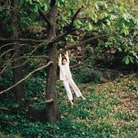 Ultra-Vybe To Enjoy Is The Only Thing - Maple Glider