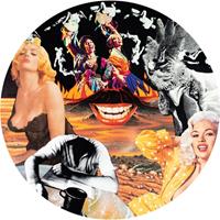 Dirter The Sylvie And Babs Hi-Fi Companion (Pict Disc) - Nurse With Wound