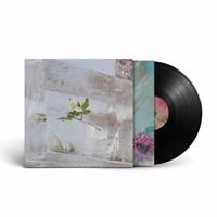 City Slang Windflowers - Efterklang