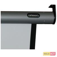 Celexon Motor HomeCinema 1090120 Motorleinwand 214 x 120cm Bildformat: 16:9