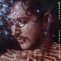 Play It Again Sam The Shimmer - Oscar And The Wolf