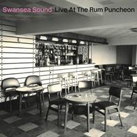 Ultra Vybe Live At The Rum Puncheon - Swansea Sound